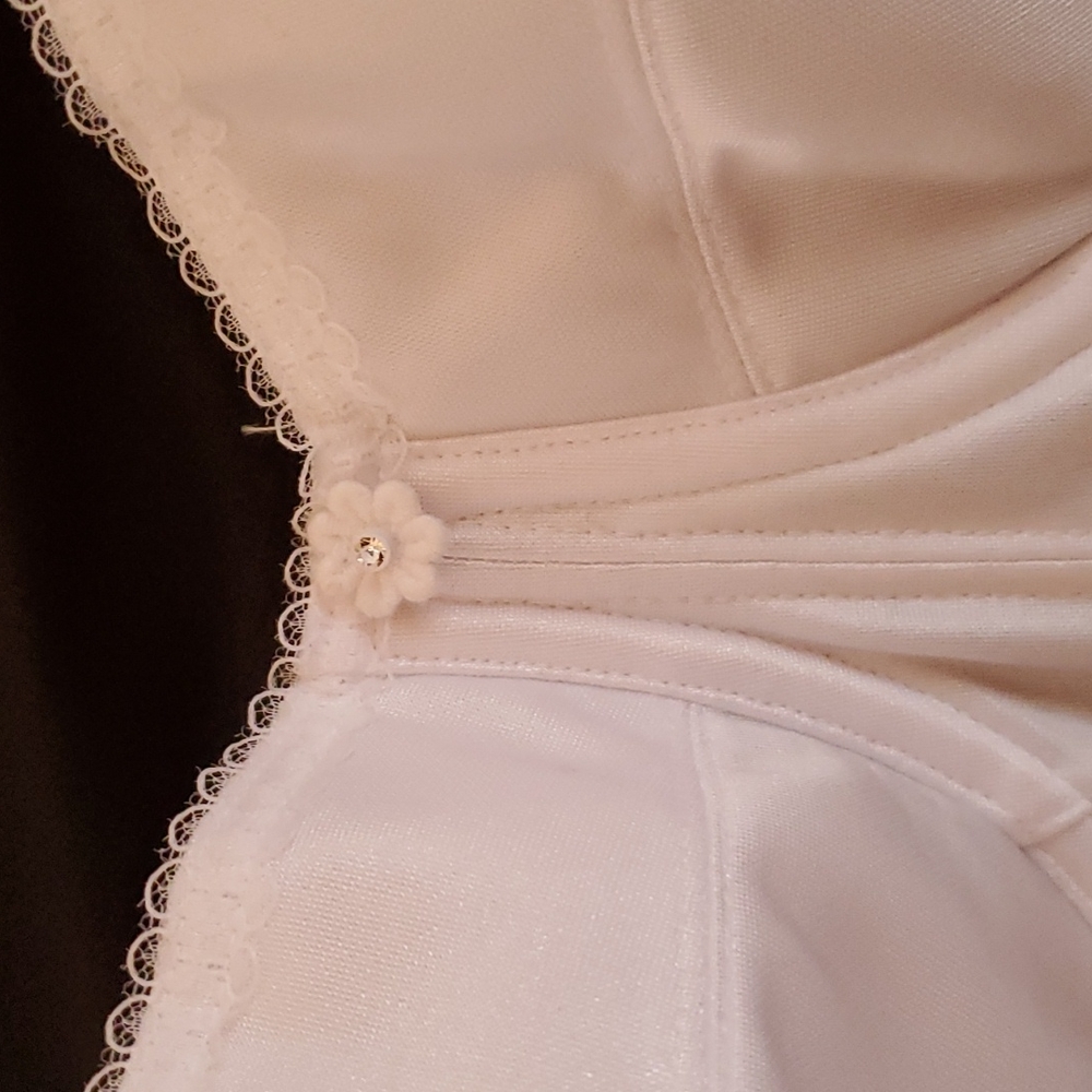 Dominique Intimate Apparel Corset 36D - Picture 3 of 12